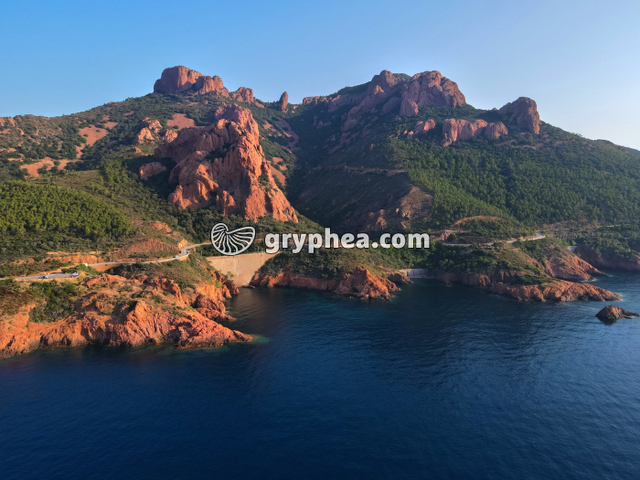Esterel - affleurement de rhyolite - gryphea.com